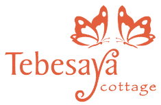cropped-logo-tebesaya.png