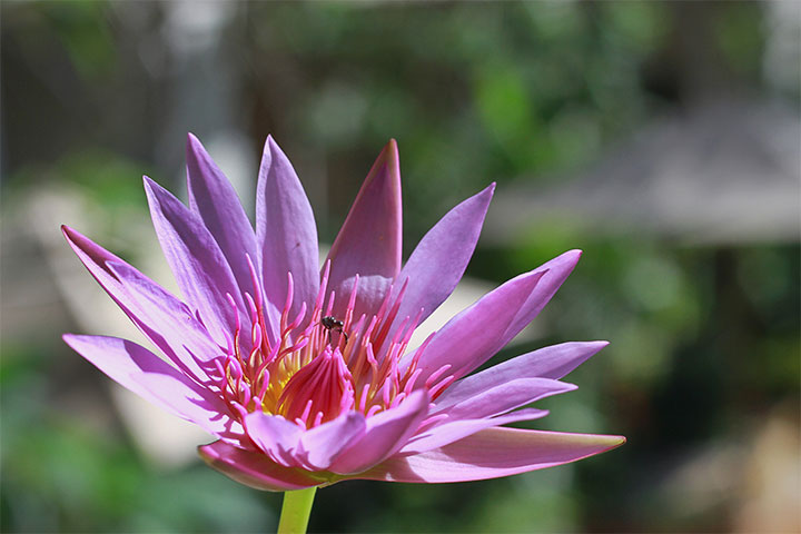gallery-40